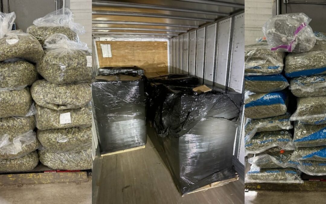 RCMP seize 600 kg of cannabis in Manitoba traffic stop