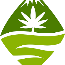 Mountain Standard Cannabis