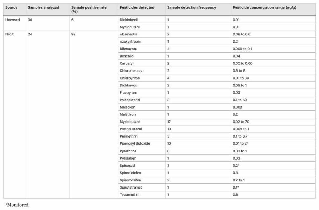 Pesticide use widespread in the illicit market, while legal market cleans up its act