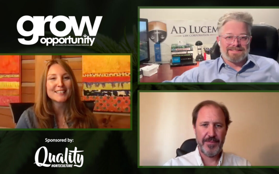 Cannabis Divided: How the 2024 U.S. election could reshape the future of hemp and marijuana