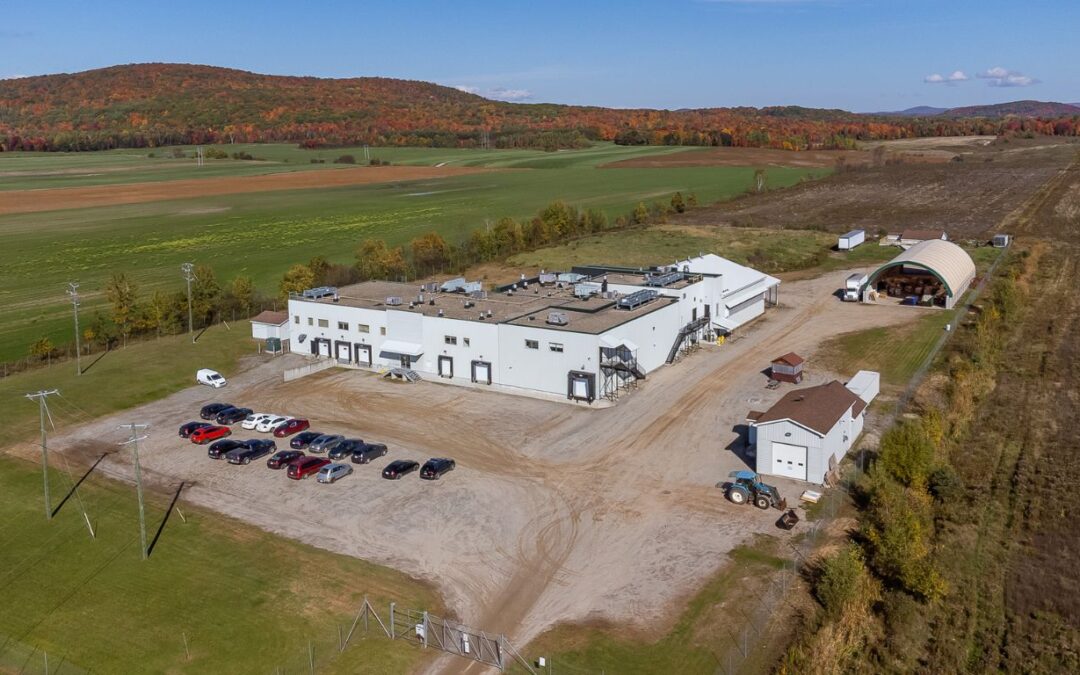 Quebec cannabis business facing excise challenges