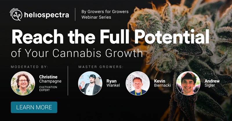Webinar Series: Reach the Full Potential of Your Cannabis Growth Through Proven Strategies