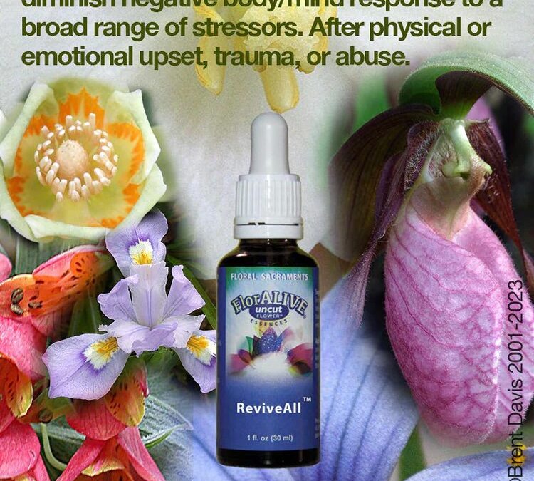 How Can We Measure Healing Miracles