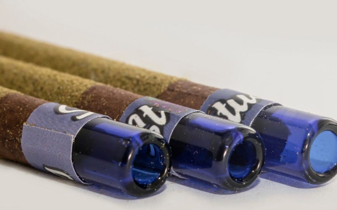 Simply Solventless reports another profitable quarter as sales continue to increase