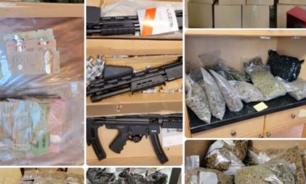 Surrey RCMP dismantle a large illicit cannabis distribution group, seize 700 pounds of illicit cannabis, guns, psilocybin