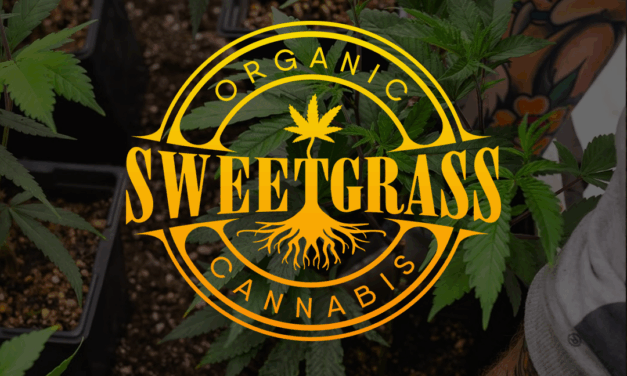 Rooted in Community, Grown with Care: Sweetgrass Cannabis Behind the Label