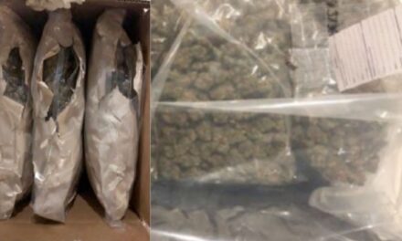 Two Chinese nationals in UK jailed for importing cannabis from Canada in “significant criminal enterprise”