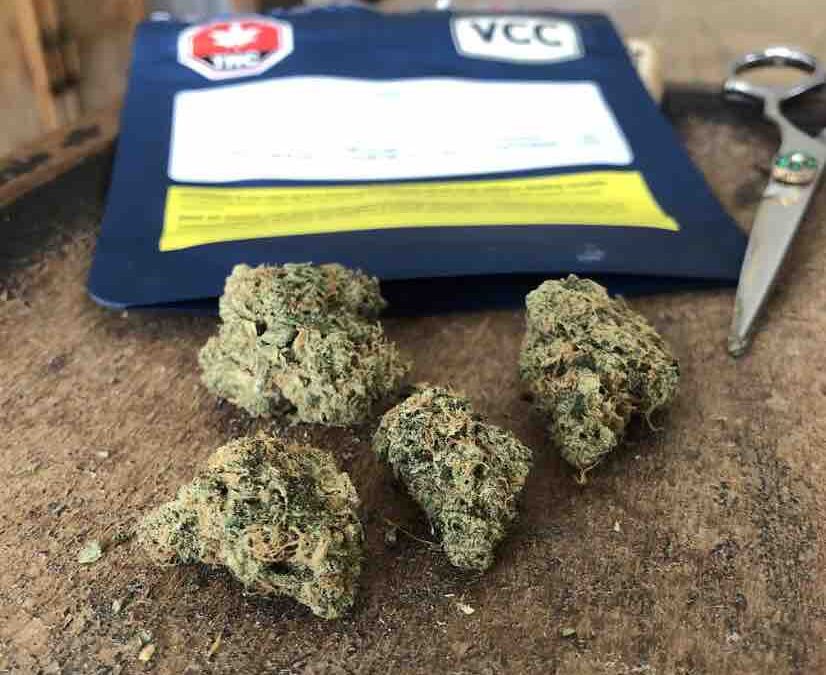 The Good Weed Board, part five