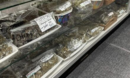 Legal pot shops in Vernon see surge in customers following recent raids