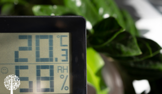 A cropped hygrometer used to measure water activity, in front of an out of focus green plant.
