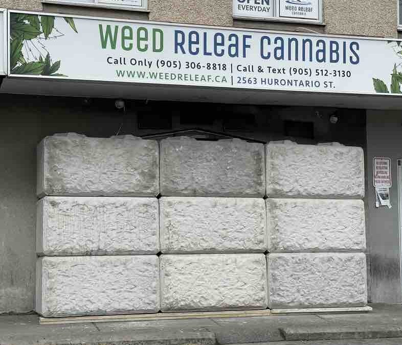 Police shut down illicit cannabis store in Mississauga