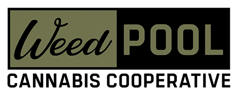 Speed Networking presented by Weed Pool