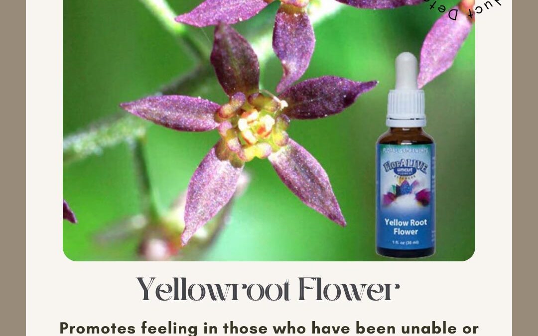 Are You Ready to Receive More Abundance?