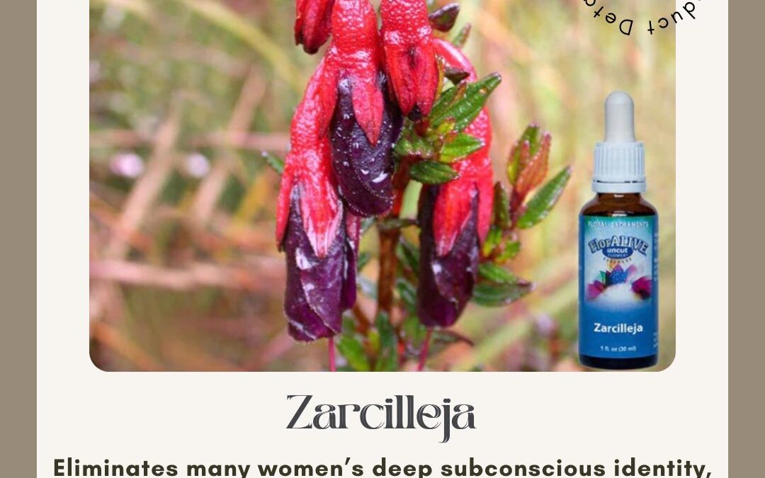 Feeling Feminine Guilt for Other Women?