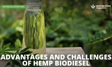 Advantages and Challenges of Hemp Biodiesel