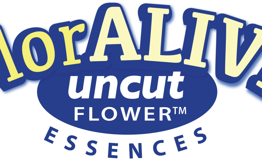 INTENTIONAL CREATION OF HOMESTEADS FOR A BRIGHTER FUTURE