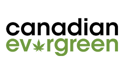 Canadian Evergreen