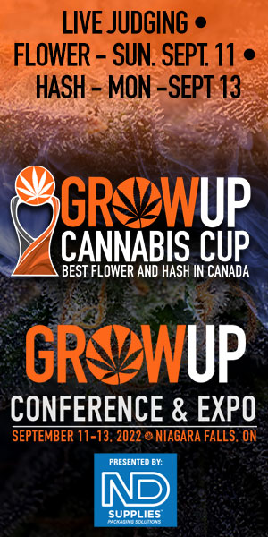 cannabis-cup-300x600