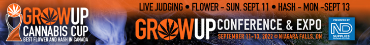 cannabis-cup-728x90