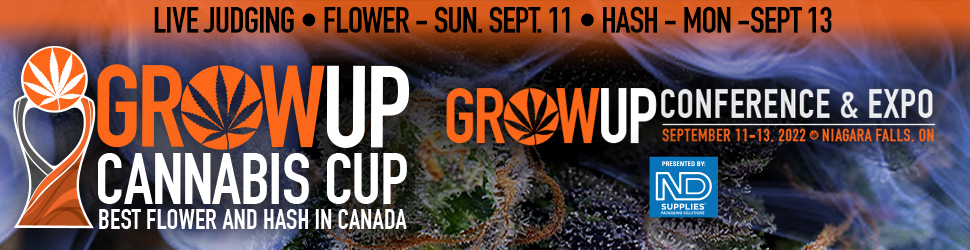 cannabis-cup-970x250
