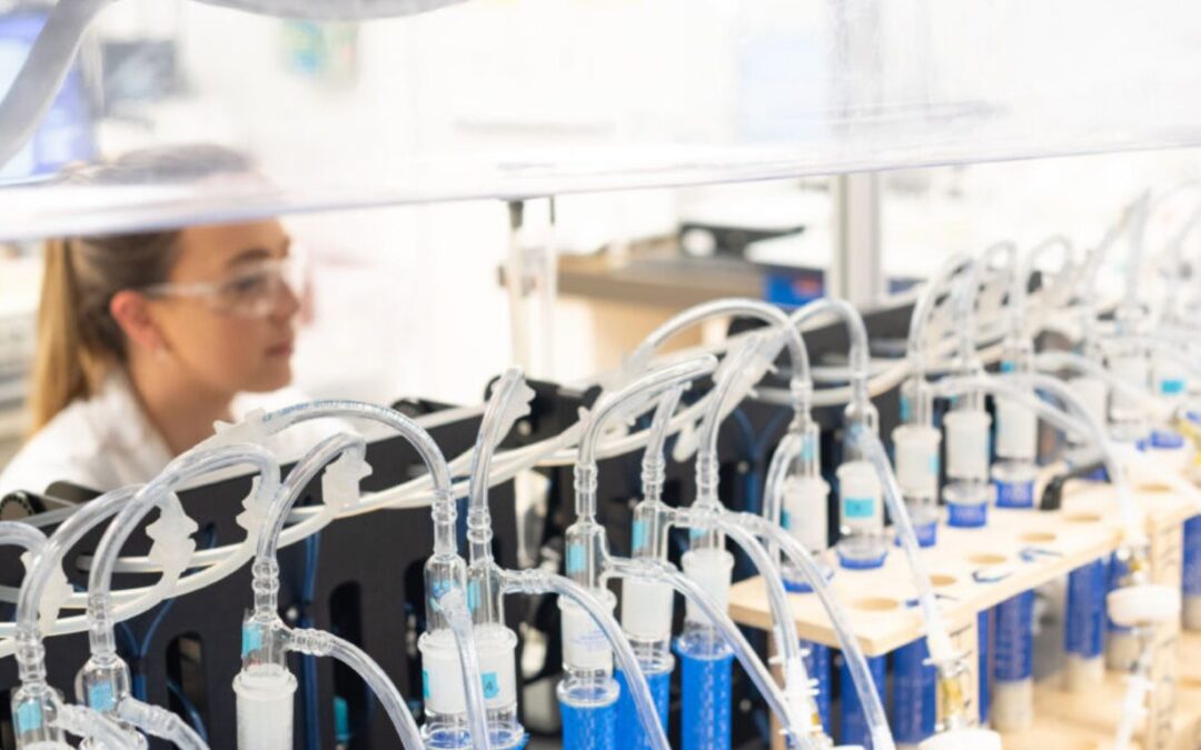 The case for government to help fund cannabis emissions testing