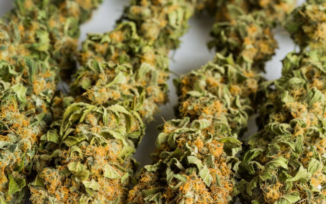 Ultrasound Extraction – How to Improve The Extraction Process