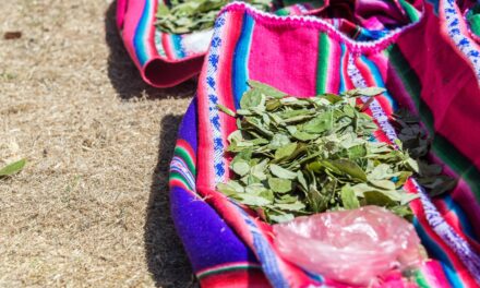 The Coca Leaf: A Historical Perspective on Its Use and Misuse