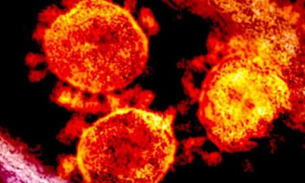 Coronavirus (COVID-19) Information