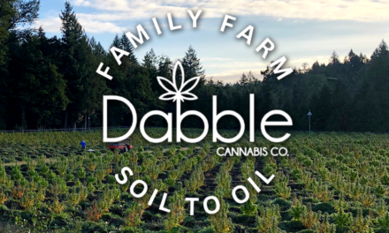 Dabble Cannabis Co.: Leading the Way in Craft Concentrates