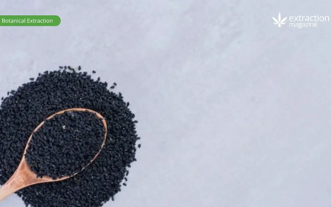 Ergot Alkaloids in Morning Glory Seeds