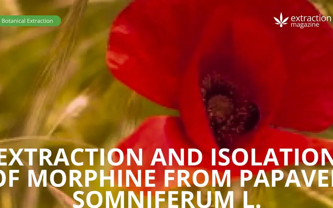 Extraction and Isolation of Morphine from Papaver somniferum L.