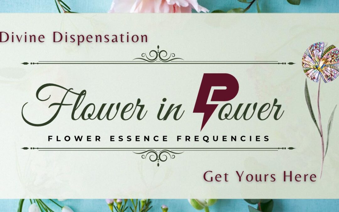 Forgive yourself and Get Back into the Body