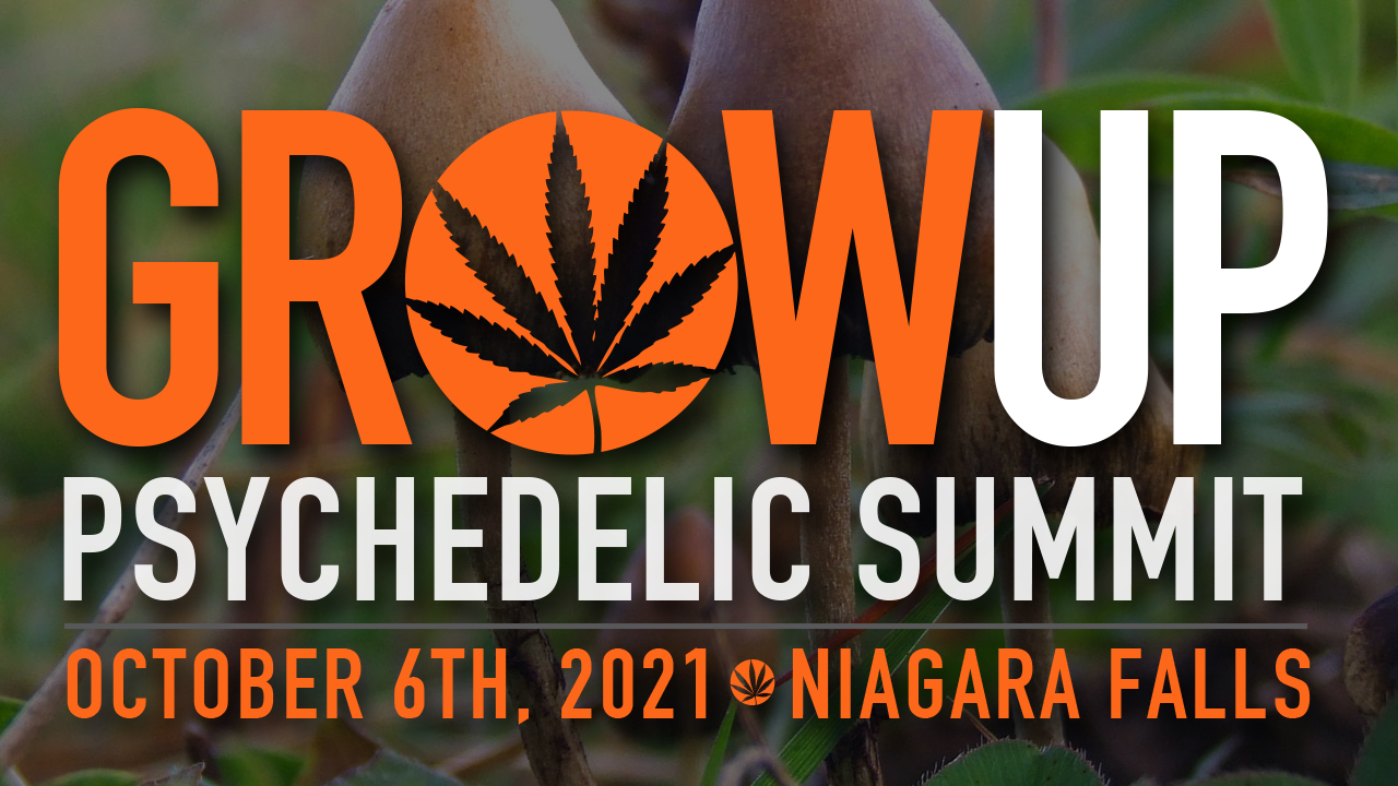 grow-up-psychedelic-summit-niagara-falls-1280x720