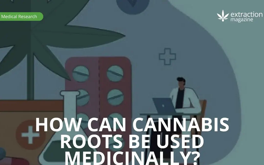How Can Cannabis Roots Be Used Medicinally?