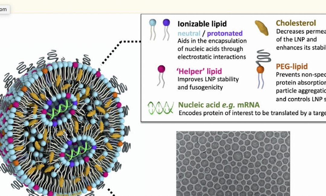 Expressionless Babies, Bored Lovers