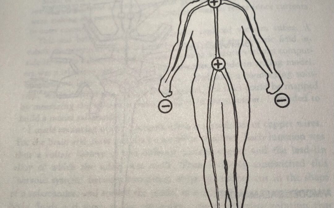 How Grounding Heals EMF damage