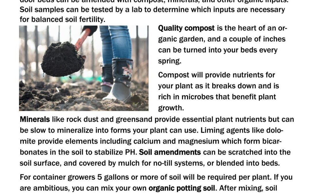 Cultivate organic cannabis with living soil