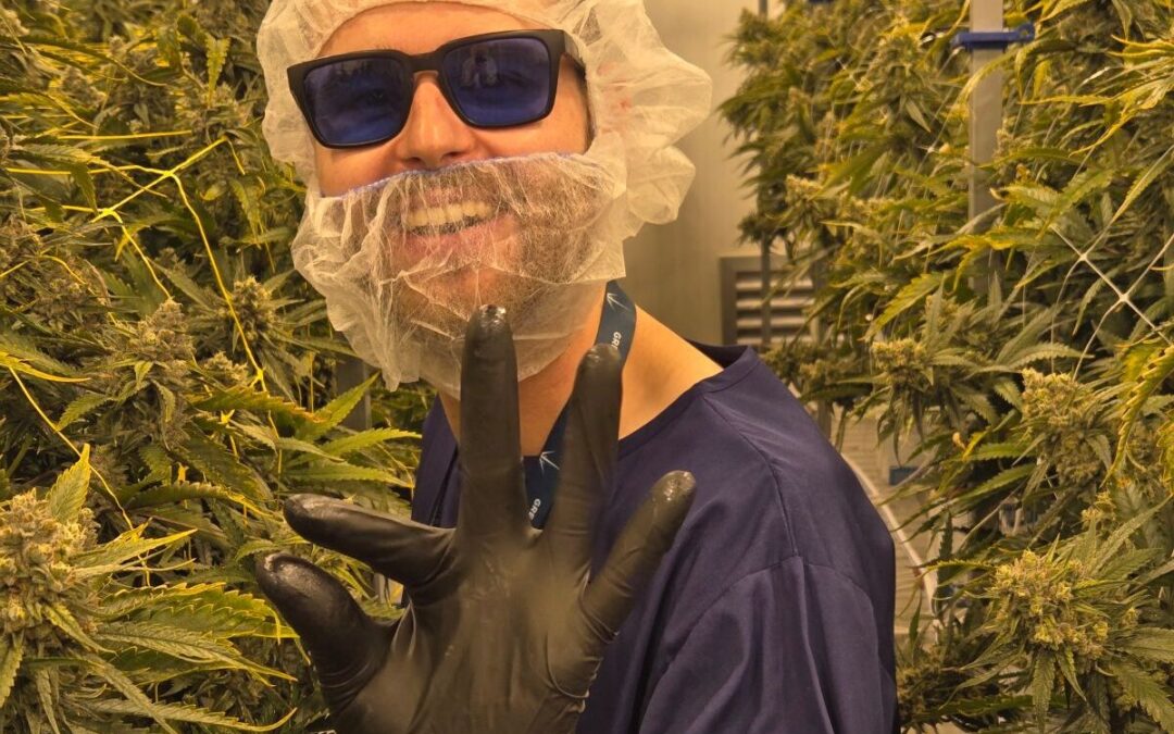 Scaling Up, Staying Grounded: Lessons in indoor cannabis expansion