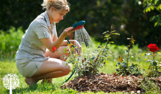A woman watering her flowers with a hose in the summer sun.