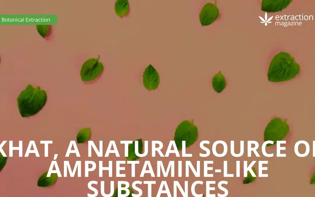 Khat, a Natural Source of Amphetamine-like Substances