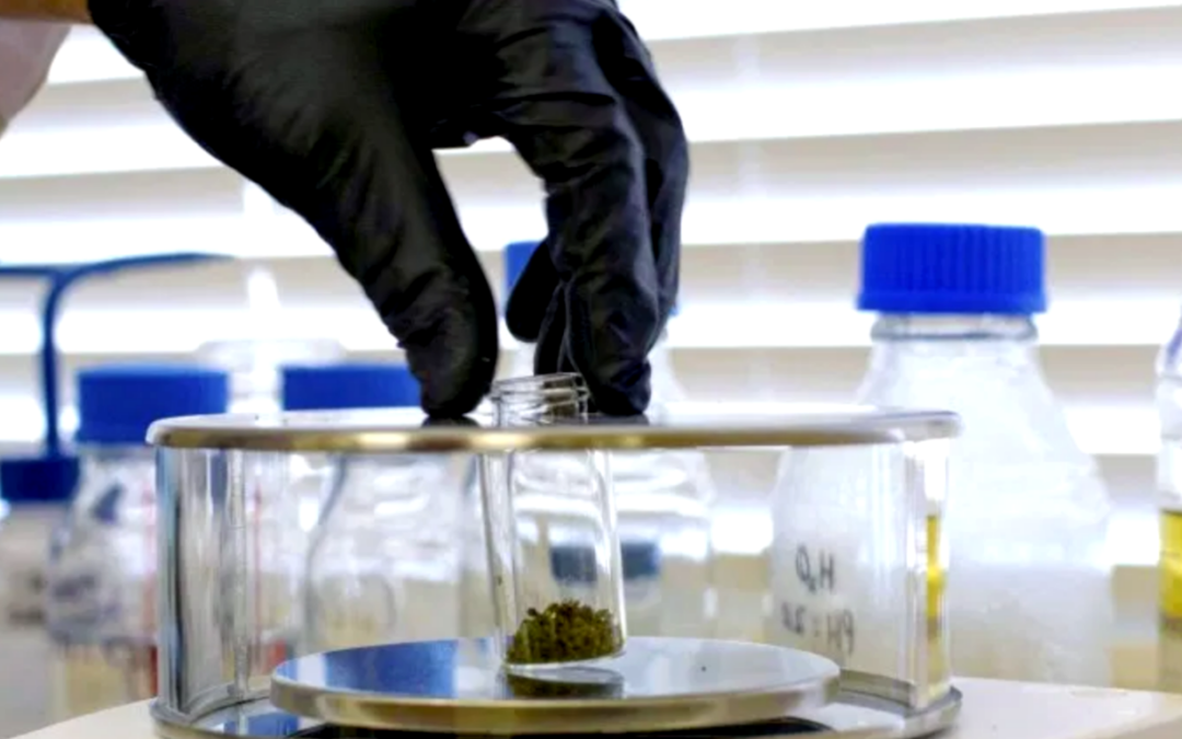 New cannabis industry organization seeks to establish better standards for testing