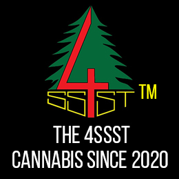 The 4ssst