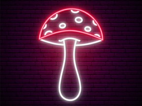 "Psychedelic basically means 'mind manifesting,' suggesting that the compound assists one in uncovering subject matter that perhaps is otherwise deeply hidden from the conscious mind."