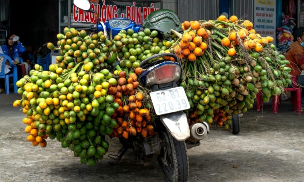 Inside the Betel Nut High: Exploring the Mind-Bending Effects of Areca Catechu