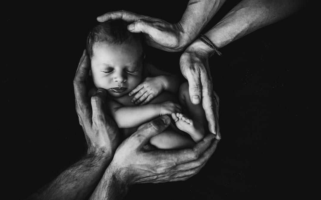 Pause for the New…