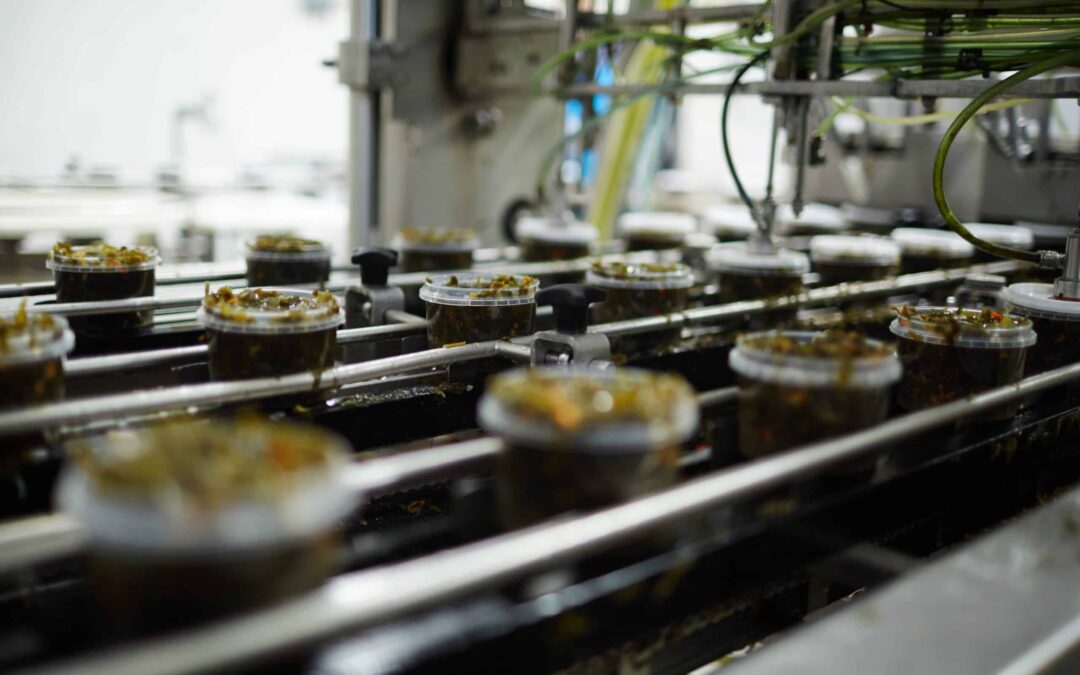 How Mass Customization Is Helping The Botanical Extraction Industry