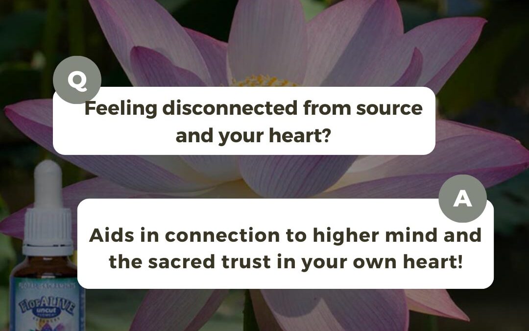 Have You Lost Your Way?