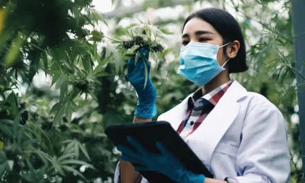 Selection of Best Scientific Publication on Cannabis – October 2023
