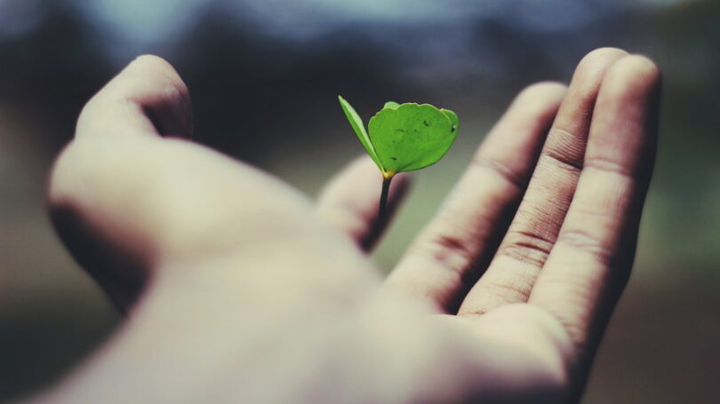 Image of a hand catching a leaf, symbolic of spiritual growth