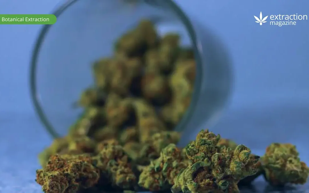 THC Derivatives and Their Creation Process